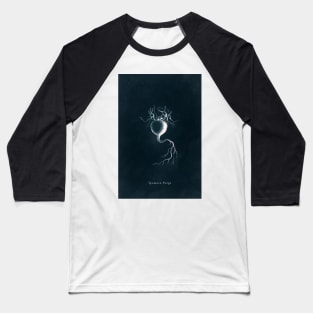 Cyanotype - Ipomoea Purga Baseball T-Shirt